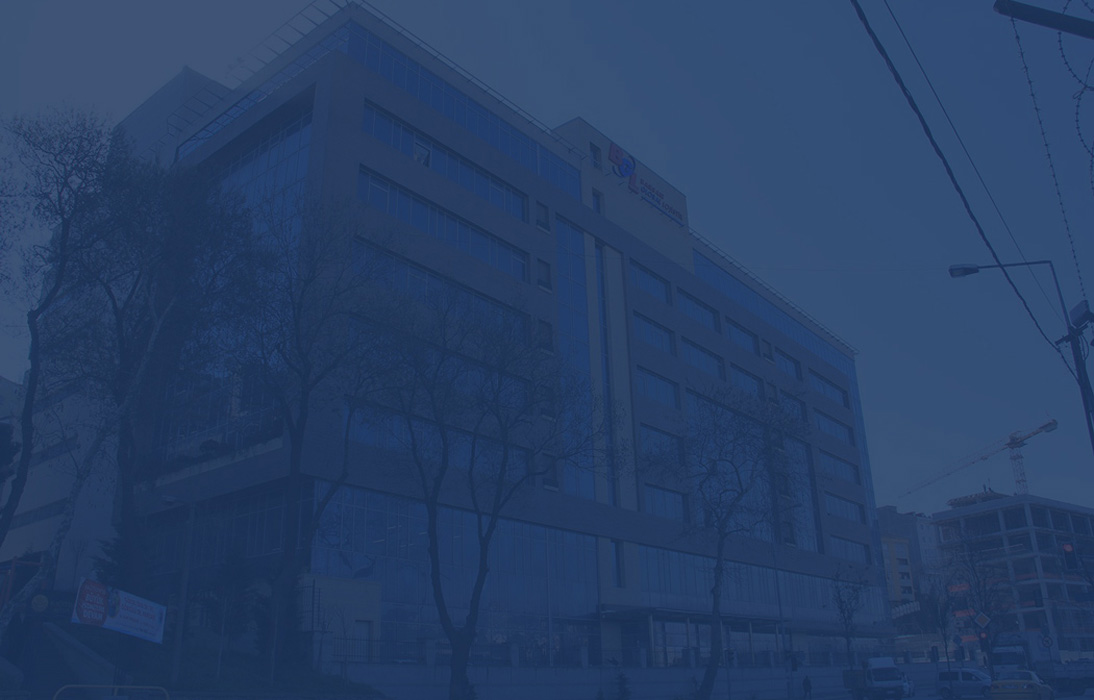 Barsan Global Lojistik